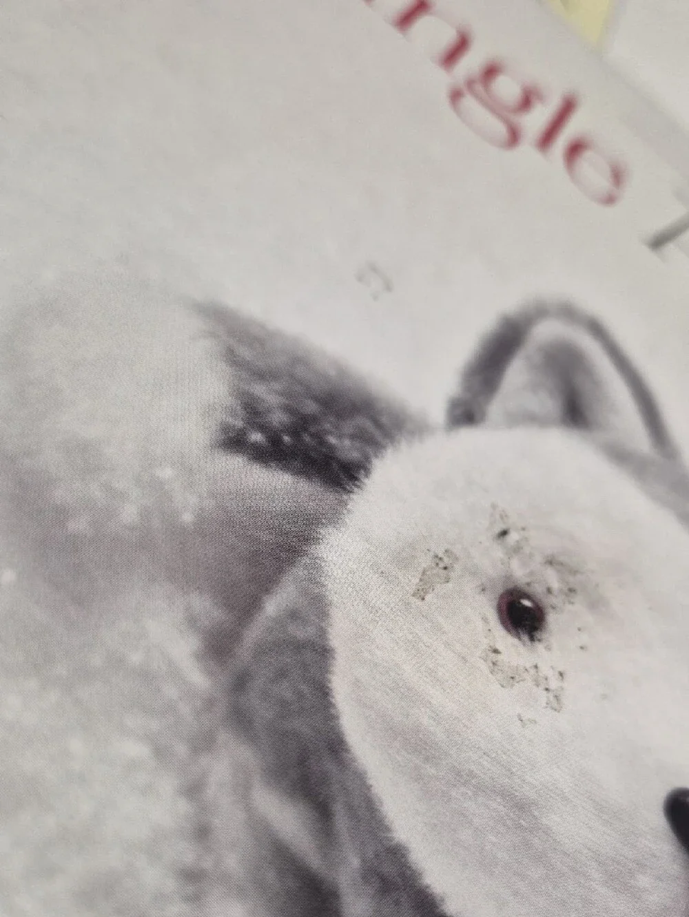 Jingle All the Way Interactive Storybook - White & Gray Cover